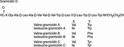 ChemStructure3