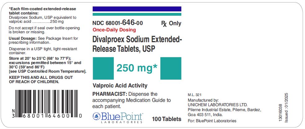Label Divalproex Sodium ER Tablets USP 250 mg 100 counts