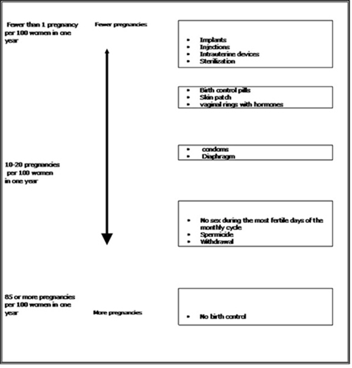 Flow Chart