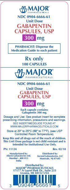 neurontin prescribing information