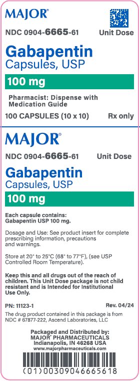 gabapentin package insert