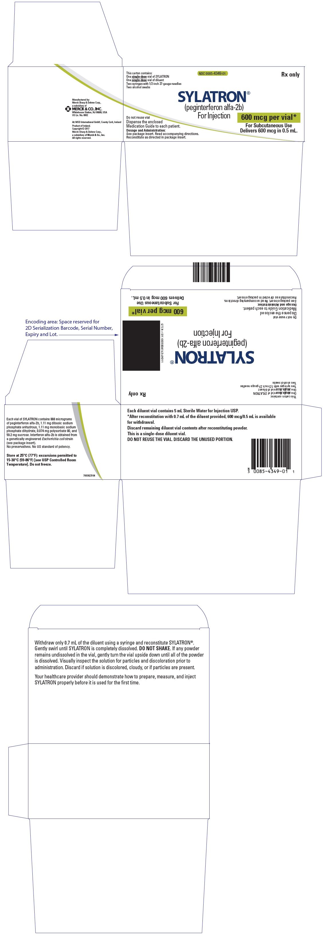 PRINCIPAL DISPLAY PANEL - Kit Carton - 600 mcg