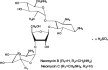 Neomycin Sulfate Structural Formula
