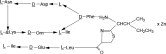 Bacitracin Zinc Structural Formula
