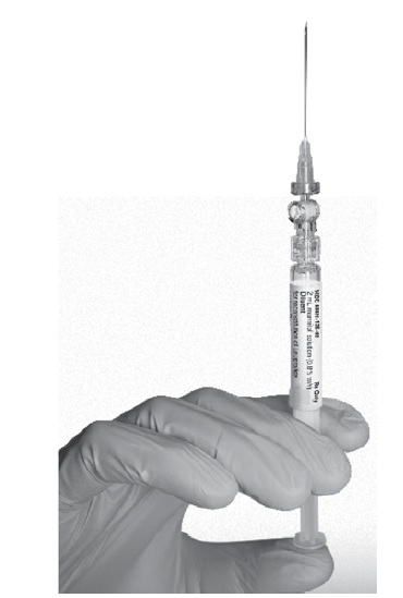 fig 9.jpg