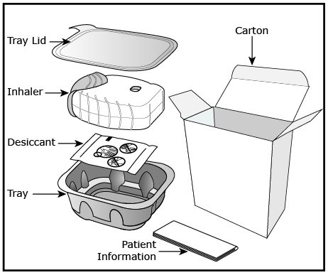 Figure 4 Day 168