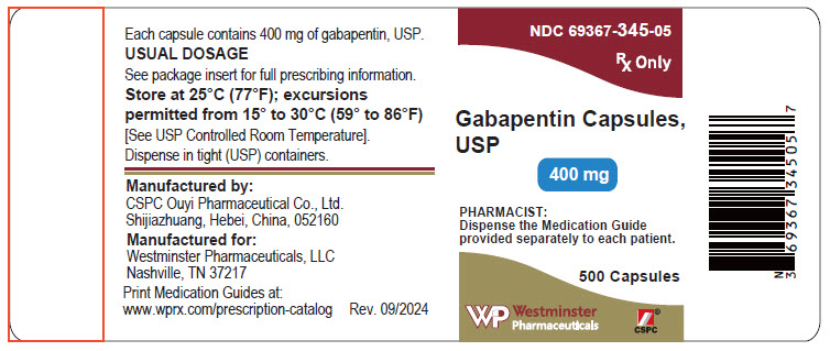 gabapentin package insert