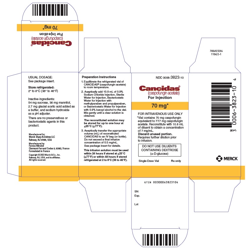 Principal Display Panel - 70 mg Vial Carton