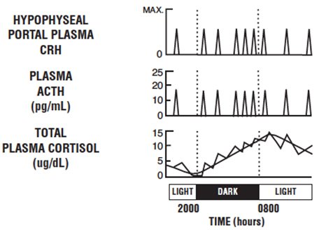 ActhrelCortisoneChart