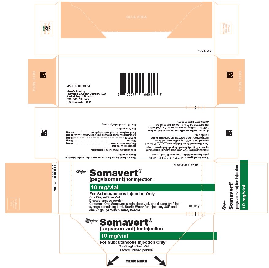 PRINCIPAL DISPLAY PANEL - Kit Carton - 7166-01