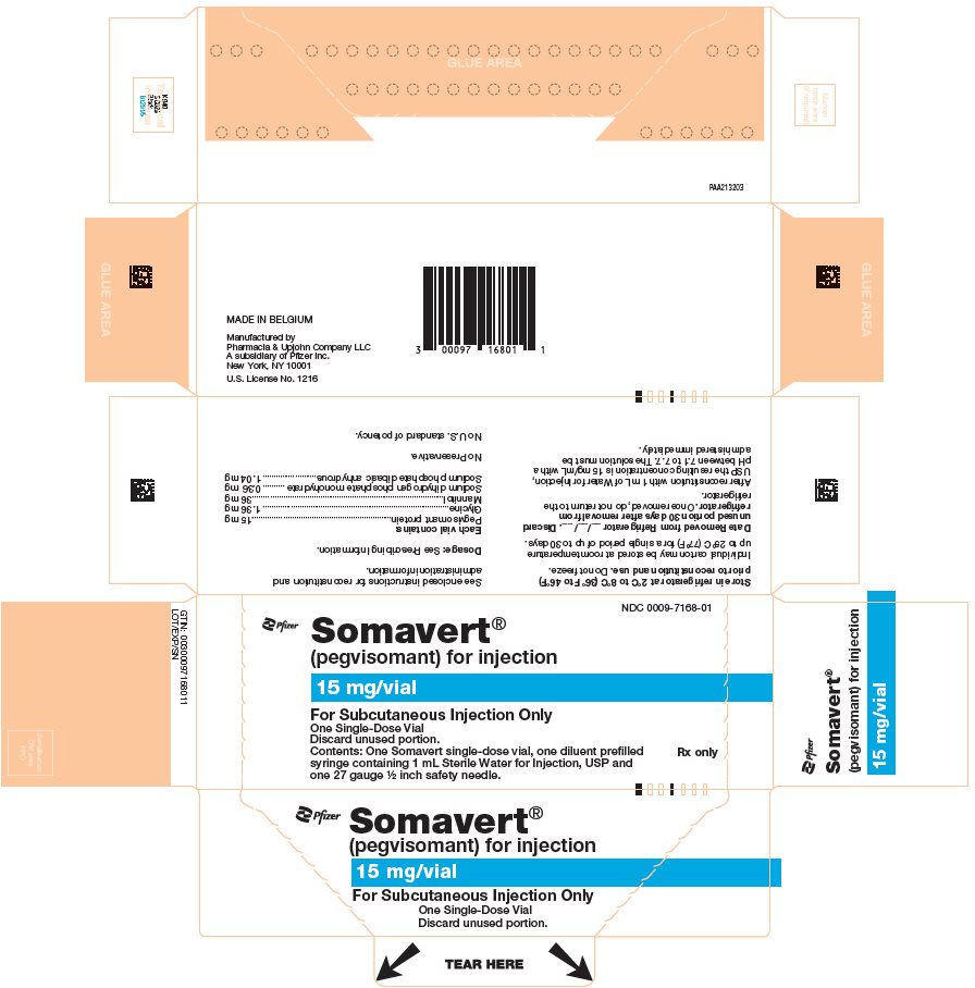 PRINCIPAL DISPLAY PANEL - Kit Carton - 7168-01