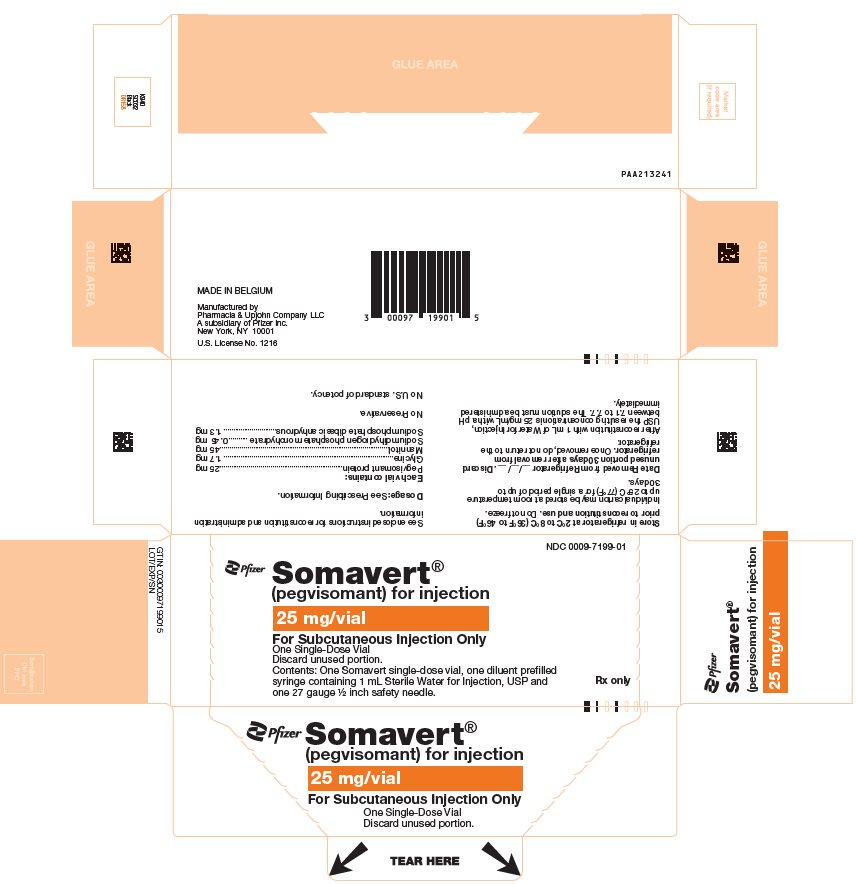 PRINCIPAL DISPLAY PANEL - Kit Carton - 7199-01