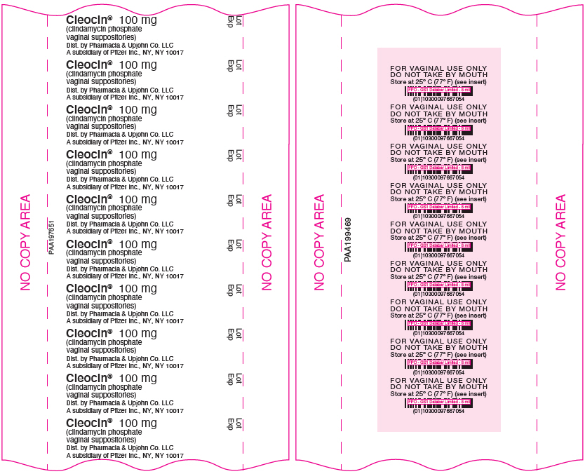 PRINCIPAL DISPLAY PANEL - 100 mg Suppository Blister Pack