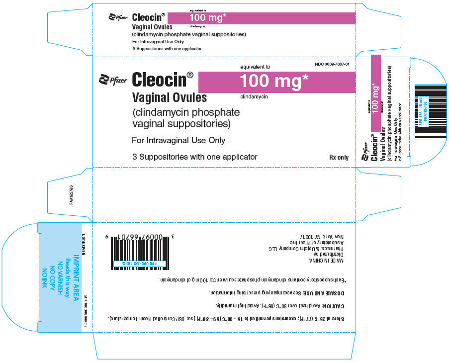 PRINCIPAL DISPLAY PANEL - 100 mg Suppository Blister Pack Carton