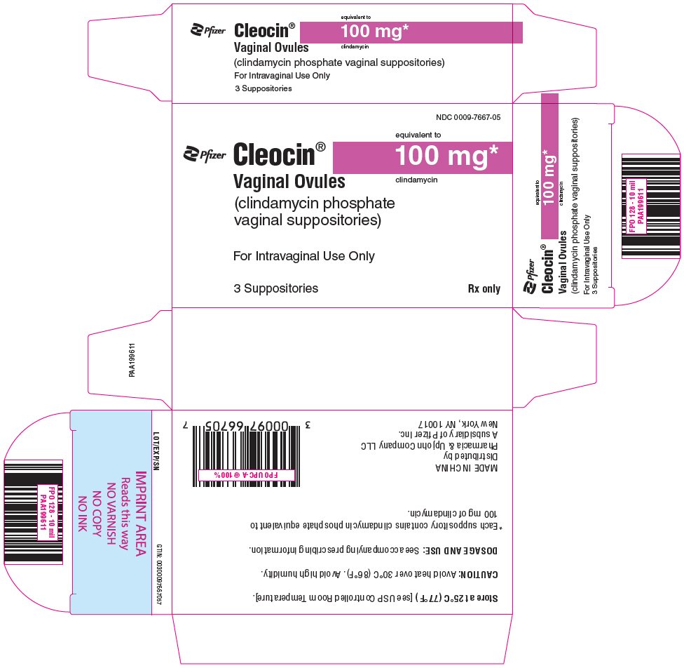 PRINCIPAL DISPLAY PANEL - 100 mg Suppository Blister Pack Carton - NDC 0009-7667-05