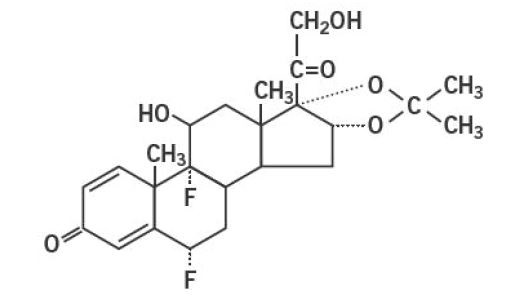 structure.jpg