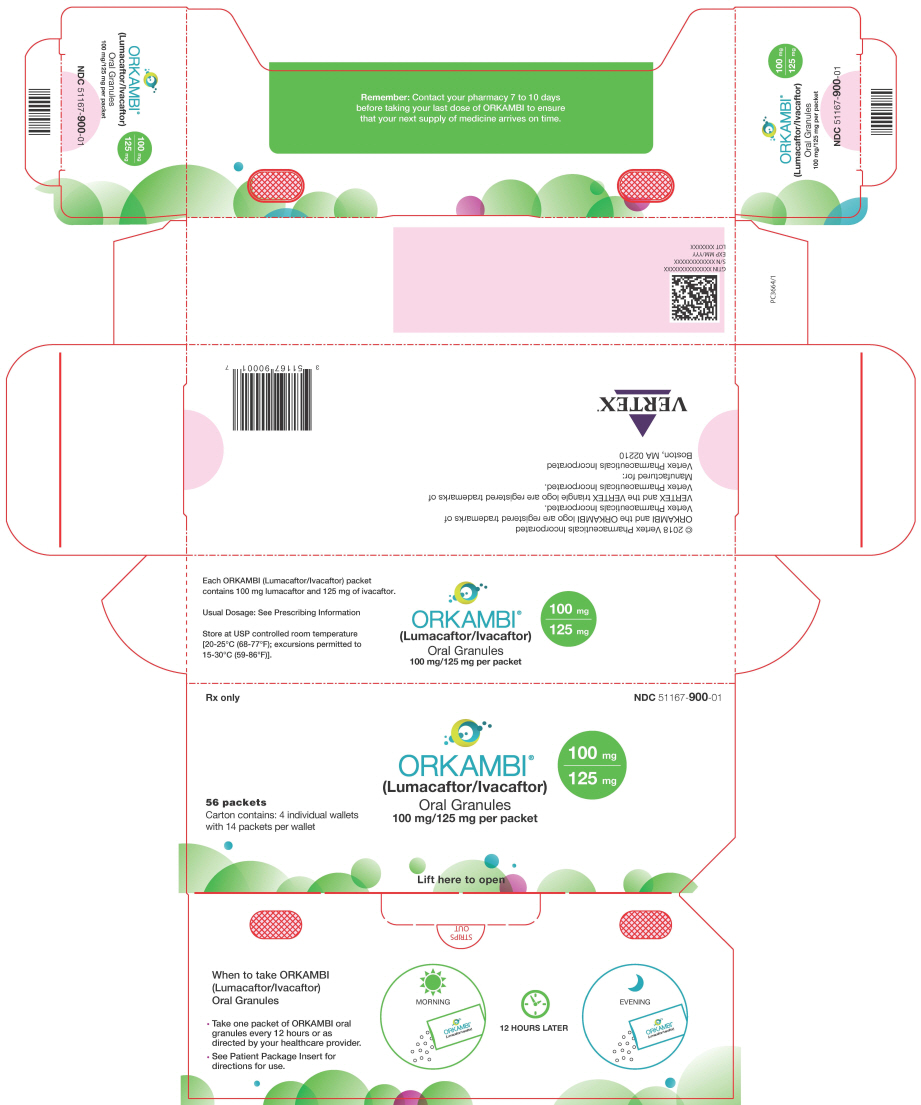 PRINCIPAL DISPLAY PANEL - 100 mg/125 mg packet Carton