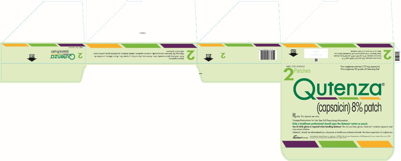 Principal Display Panel - Carton Label (2 Patches)