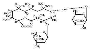 cstructure