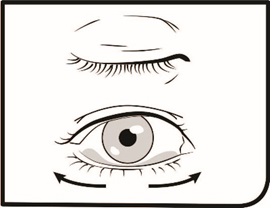 Step 9