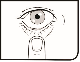 Step 6