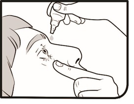 Step 8