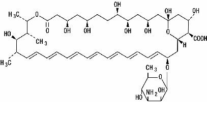 Fungizone Structural Formula