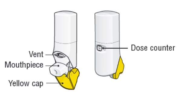 Advair Diskus Healthgrades Fluticasone Propionate And Salmeterol Powder