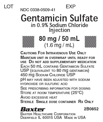 Gentamicin Representative Container Label NDC 0338-0509-41