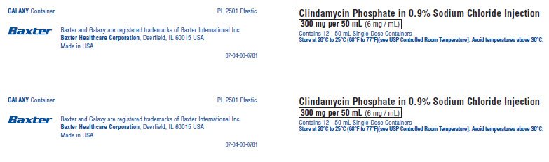 Clindamycin Phosphate in Sod. Chlor. carton NDC 0338-9545-24 panel 1 of 2