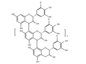 The Structural formula of Crofelemer is an oligomeric proanthocyanidin mixture primarily composed of (+)–catechin, (–)–epicatechin, (+)–gallocatechin, and (–)–epigallocatechin monomer units linked in random sequence.