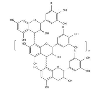 The following chemical structure for MYTESI (crofelemer) is delayed-release tablets is an anti-diarrheal, enteric-coated drug product for oral administration. It contains 125 mg of crofelemer, a botanical drug substance that is derived from the red latex of Croton lechleri Müll. Arg. Crofelemer is an oligomeric proanthocyanidin mixture primarily composed of (+)–catechin, (–)–epicatechin, (+)–gallocatechin, and (–)–epigallocatechin monomer units linked in random sequence, as represented below. The average degree of polymerization for the oligomers ranges between 5 and 7.5, as determined by phloroglucinol degradation.