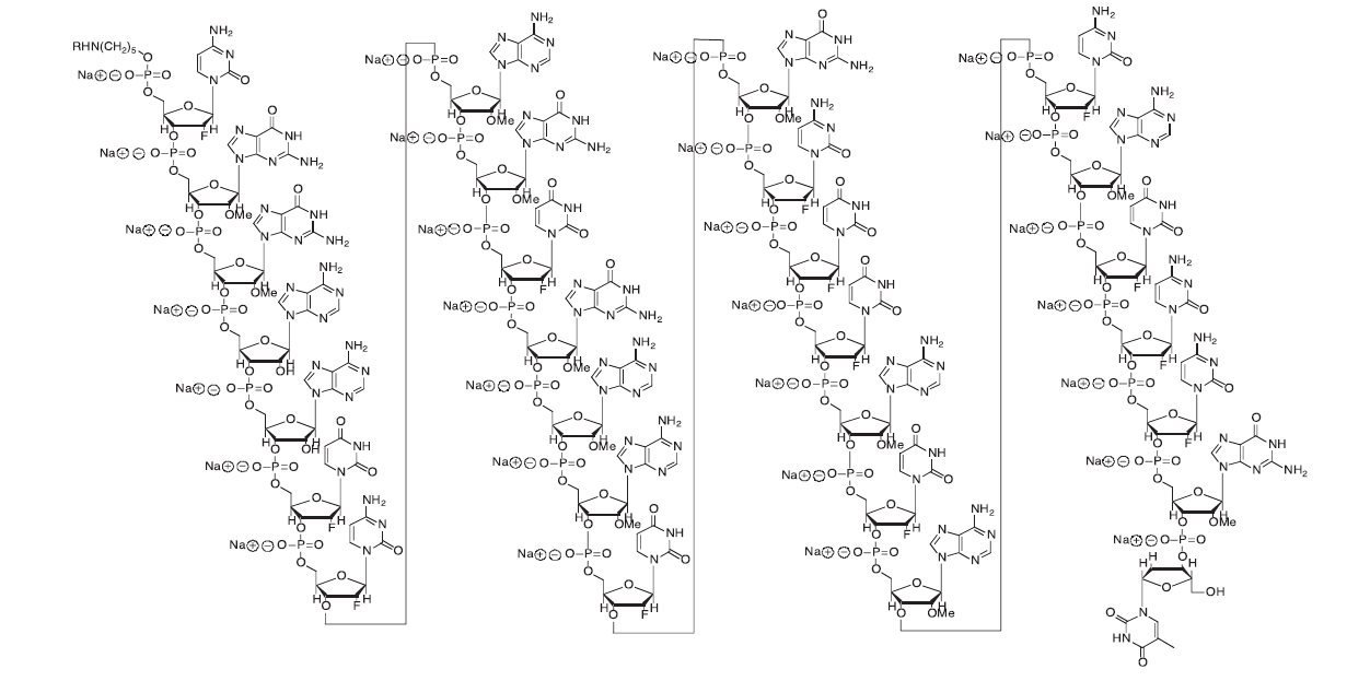 structure1.jpg