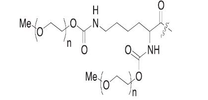 structure2.jpg