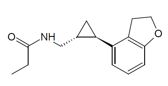 Structure.jpg