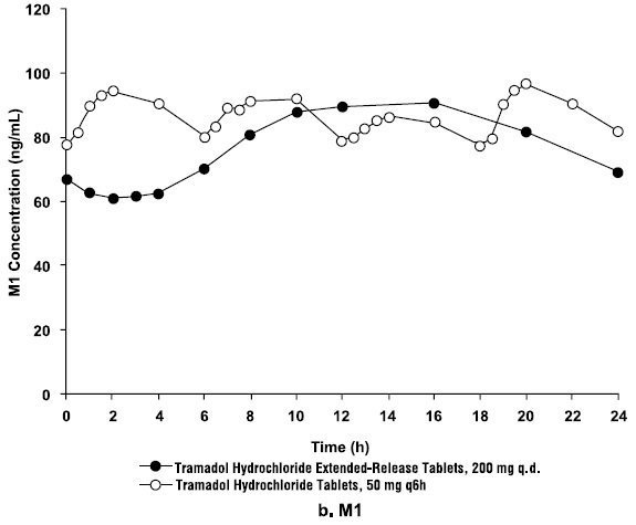 maximum dosage er tramadol