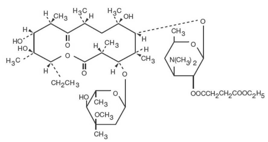 structure.jpg