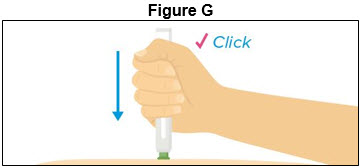 Figure G - Autoinjector