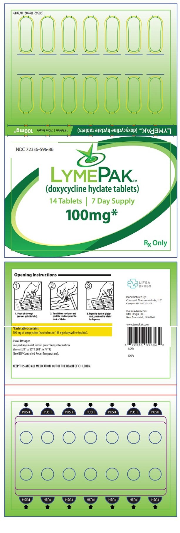 PRINCIPAL DISPLAY PANEL - 100 mg Tablet Blister Pack