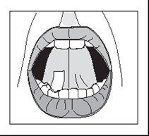 figure3.jpg
