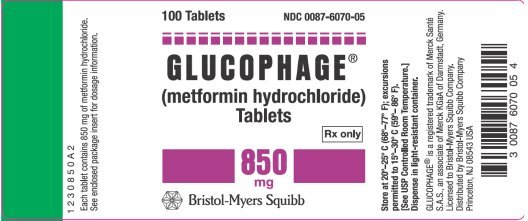 metformin hydrochloride xr 500 mg