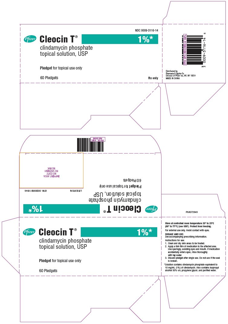 PRINCIPAL DISPLAY PANEL - 60 Pledget Packet Carton