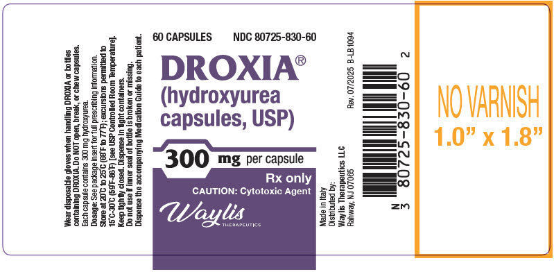 Principal Display Panel - 300 mg Capsule Bottle Label