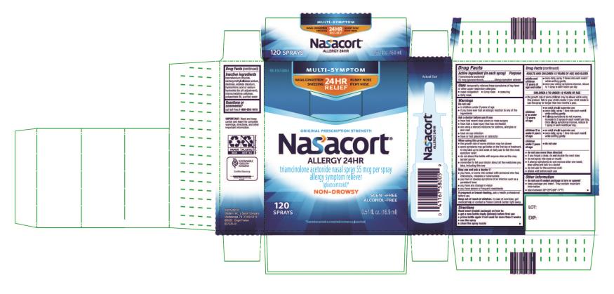 Principal Display Panel
Original Prescription Strength
NDC 41167-5800-5
Multi-Symptom
Nasal Allergy Spray
Nasacort
Allergy 24HR
triamcinolone acetonide nasal spray 55 mcg per spray
allergy symptom reliever
(glucocorticoid)*
0.57 fl. oz. (16.9 ml) 120 Sprays

*Triamcinolone acetonide 
is a steroid medicine
known as a glucocorticoid.
