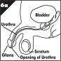 Instructions for Use Figure F