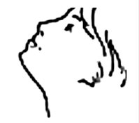 Nasal spray position