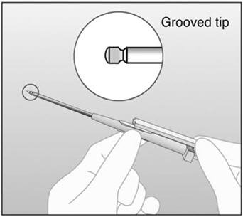 image of Figure 1b