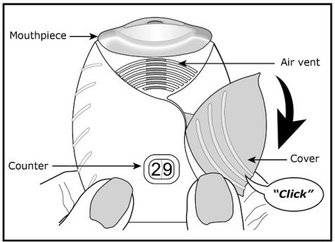 Fig D