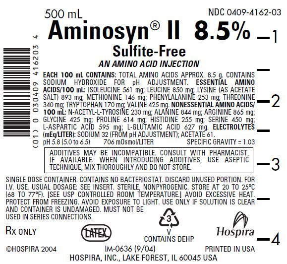 PRINCIPAL DISPLAY PANEL - 500 mL Bag Label - NDC 0409-4162