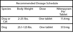 capstar for kittens dosage